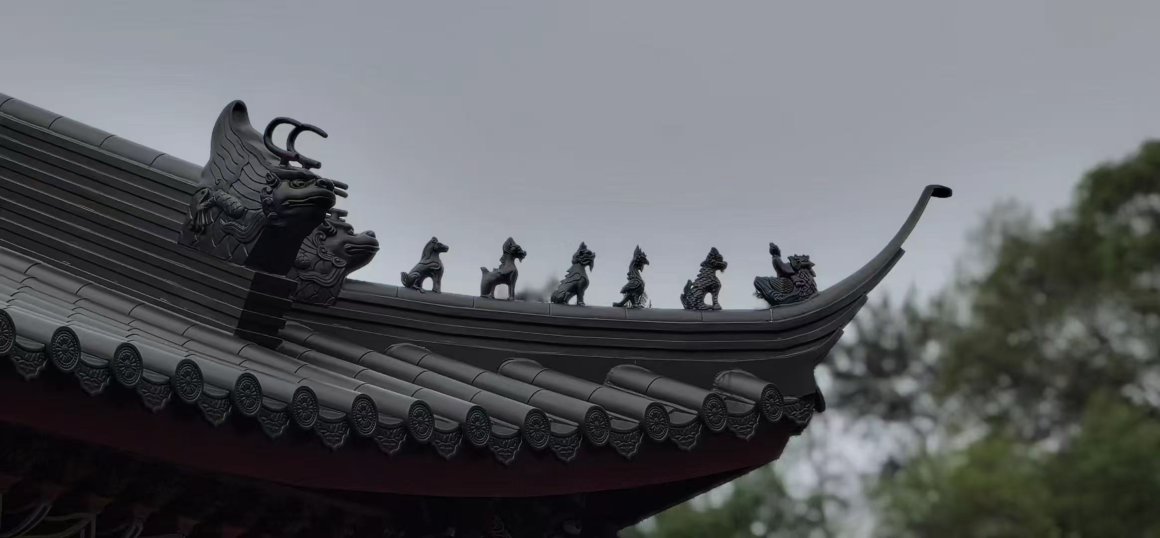 脊兽1.jpg